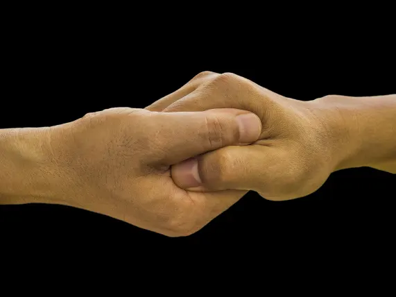 Cazino Stake 7 Cazinou Suport